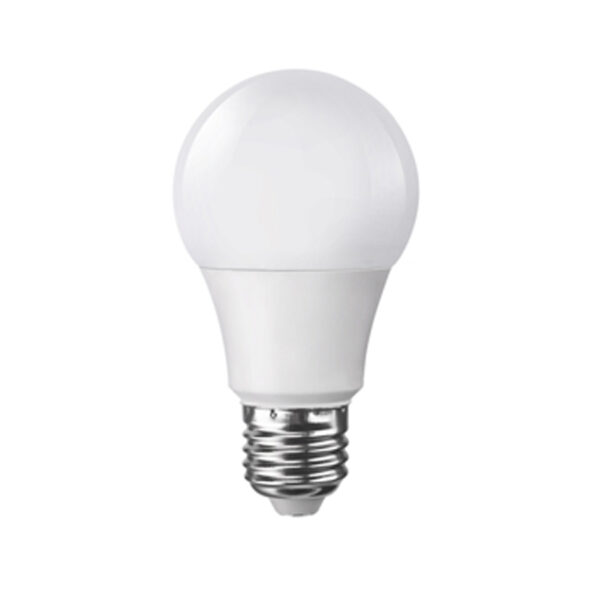9W 800 lmn non-dimmable LED Bulb available in warm and cool white - A19 9W